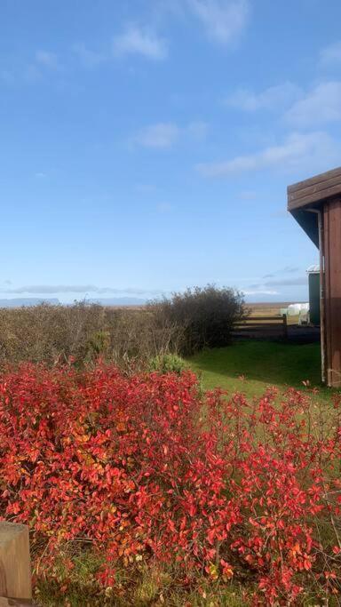 Fossar Villa Kirkjubæjarklaustur Eksteriør bilde